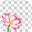 Programikonen: Edge Tracer -Remove backg…
