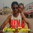 程序图标：REMA Calm Down
