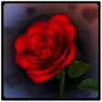 3D Rose Bouquet LWP Free