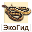 Programikonen: EcoGuide: Russian Reptile…