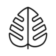 程序图标：Monstera