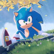 رمز البرنامج: Sonic the Hedgehog