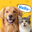 Programın simgesi: Pet Talk:TranslatorRemind…