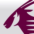 Programın simgesi: Qatar Airways