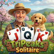 Ikona programu: Solitaire Idle Panda