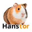 Ikon program: Hanster Video