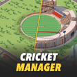Icon of program: T20 Cricket Manager