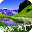 Icon of program: Spring wallpapers