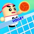 Icon of program: Play Volleyball 2020