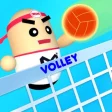 Play Volleyball 2020