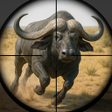 Programikonen: Frontier Animal Hunting: …