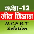 Programikonen: CLASS 12TH BIOLOGY SOLUTI…