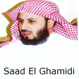 Icoon van programma: Saad Al Ghamdi Quran MP3