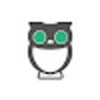 Programikonen: RevOwl: Build Interactive…
