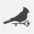 Programın simgesi: Red Bird Ministries