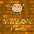 Wall Jumper Cat