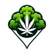 Brokkoli Map icon