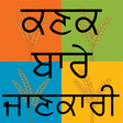 Ikon program: Wheat DSS