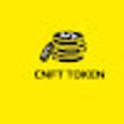 程序图标：CNFT token check