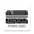 PEMS by QSD - ANAS S.p.A Qatar.