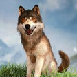 Programın simgesi: Wolf Kingdom Life Simulat…