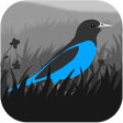 Programikon: Grayland