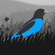 プログラムのアイコン：Grayland