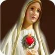 プログラムのアイコン：El Rosario Catolico