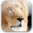Icoon van programma: OS X Lion