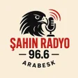 ไอคอนของโปรแกรม: Radyo Mega