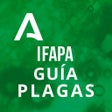 Programikonen: IFAPA Guía