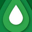 Symbol des Programms: Flagman