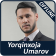 Programikonen: Yorqinxo'ja Umarov qo'shi…