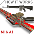 How it Works: M16 A1