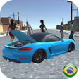 Programikonen: Carros Rebaixados Socados…
