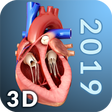 Icon of program: Heart Anatomy Pro.