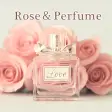 Elegant Wallpaper Rose＆Perfume Theme