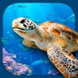 Programikonen: Virtual Reality OCEANS