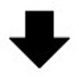 Programın simgesi: Download Manager
