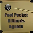 Pool Pocket Billiards - Agent8