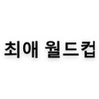 プログラムのアイコン：최애 월드컵순위
