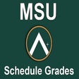 Programikonen: MSU Schedule Grades