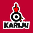 Ikon program: Kariju