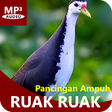 程序图标：Suara Pemikat Burung Ruak…