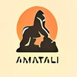 Icon of program: Amatali Tool