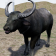 程序图标：Happy Water Buffalo Simul…