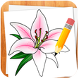 程序图标：How to Draw Flowers