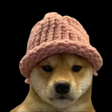 Icoon van programma: Dogwifhat dVPN
