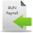 RUN payroll import from AMG Attendance System icon