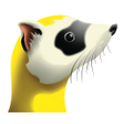 Programikonen: Ferret WiFi
